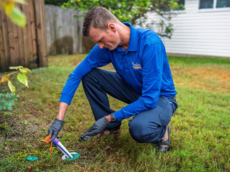 residential exterminator installing sentricon termite baiting