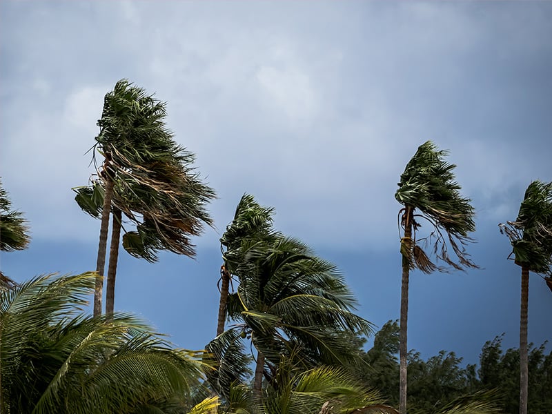 hurricane strength winds in florida