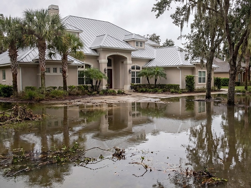 flooded florida yard