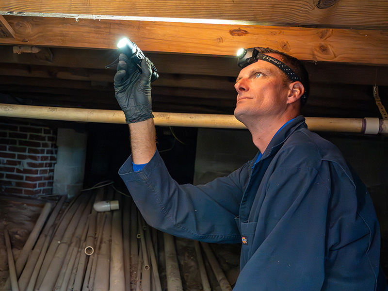 pest tech inspecting a home