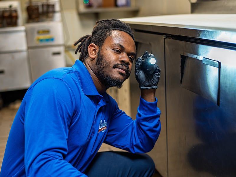 pest control specialist inspecting commercial kitchen