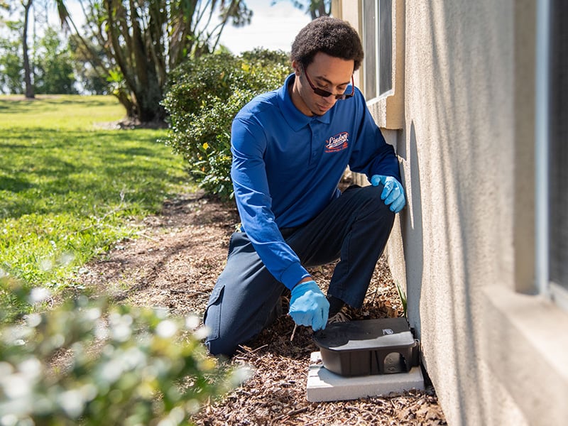 rodent exterminator checking rodent station