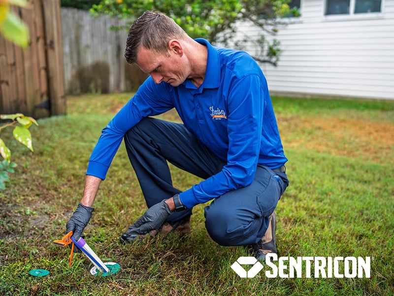 pest control specialist installing sentricon system