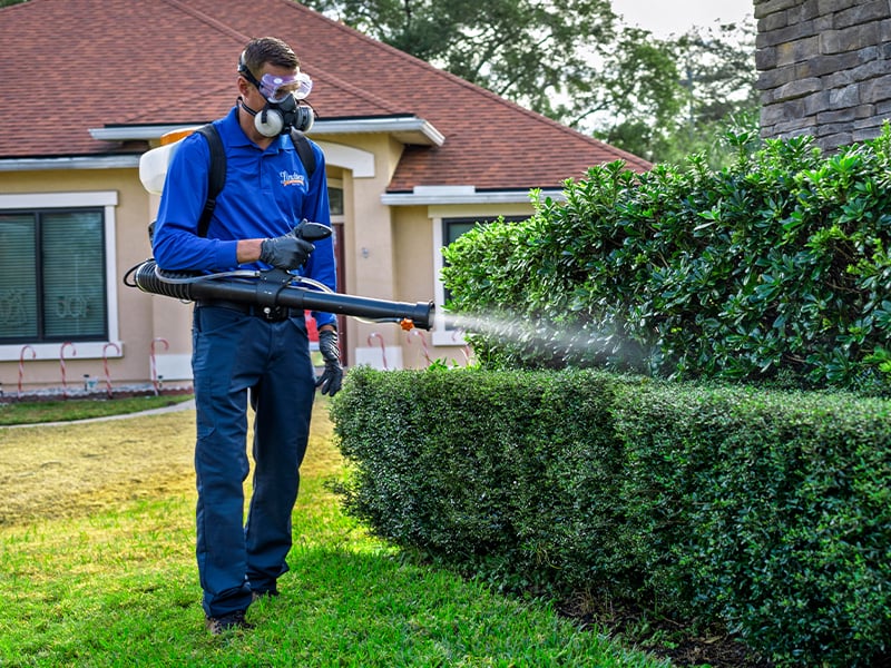 outside pest treatment