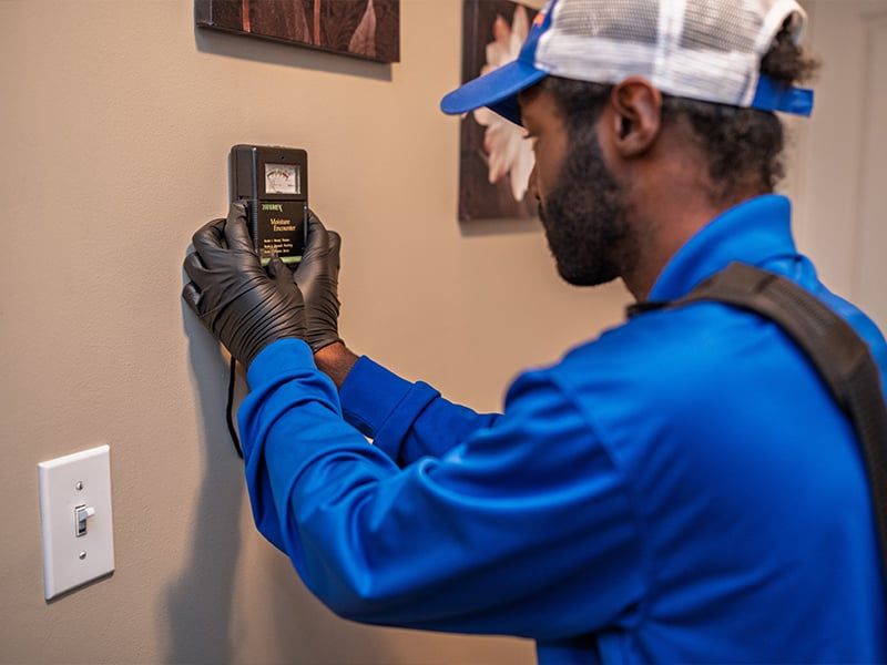 fungus and mold treatments