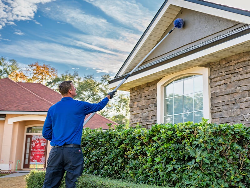 pest specialist removing wasp nest in eave