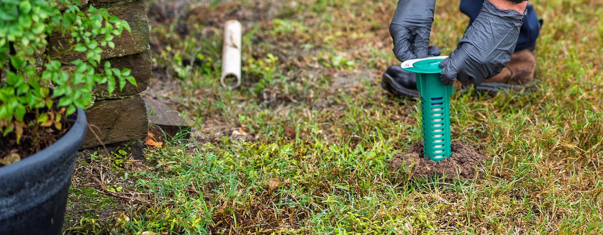 installation of termite  baiting station