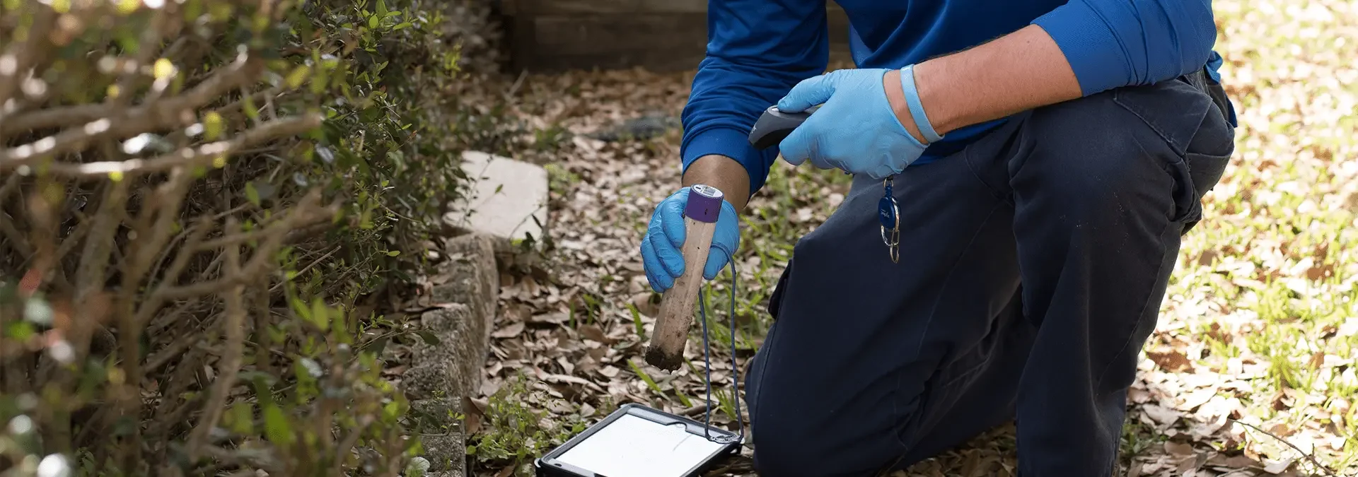 a technician inspecting a termite baiting trap outside of a jacksonville florida home