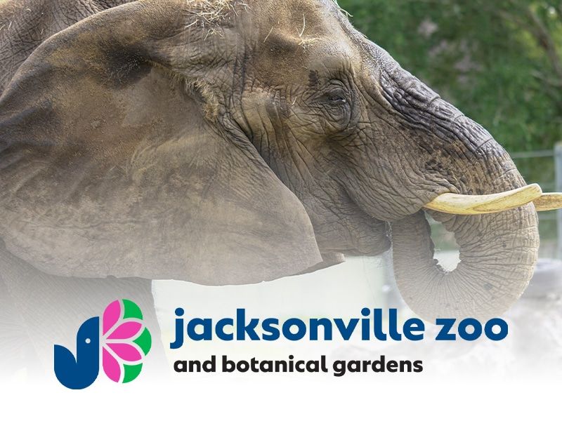 jacksonville zoo and gardens partnership