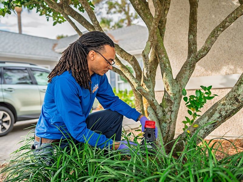 pest control specialist spraying property to eliminate mosquitoes