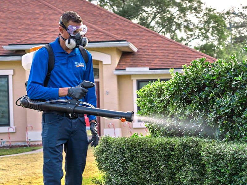 mosquito control pro treating bushes