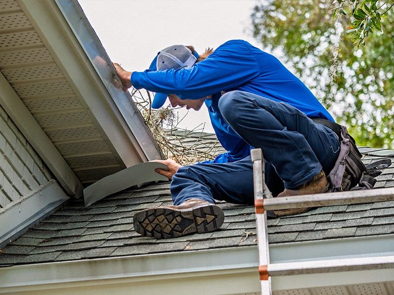 lindsey technician on house pest-proofing for rodents