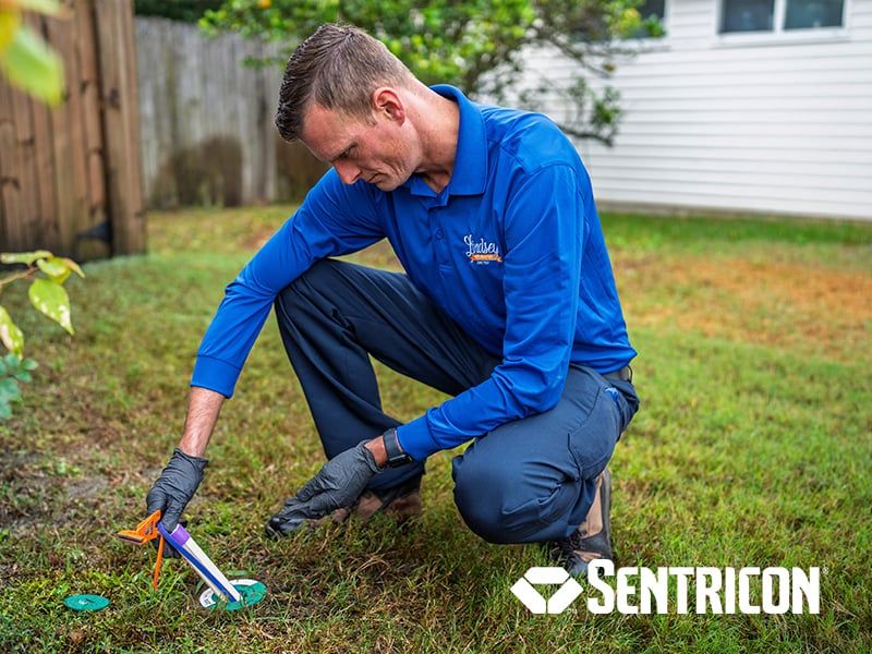 sentricon termite baiting