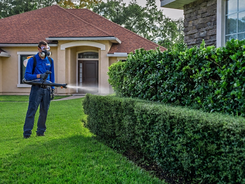 pest tech spraying bushes