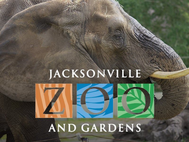jacksonville zoo and gardens partnership