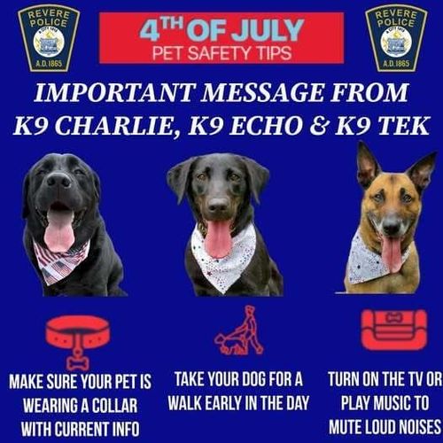 Message from Charlie, Echo, and Tek