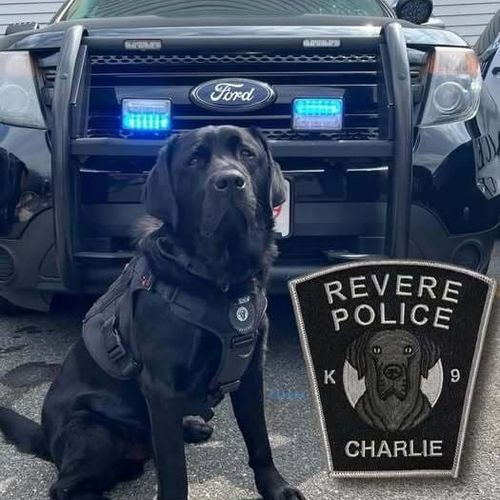 charlie at 2 years old