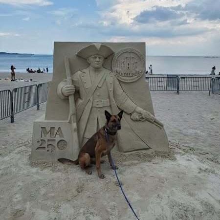 k9 at sandcastles