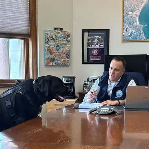 political consultant k9