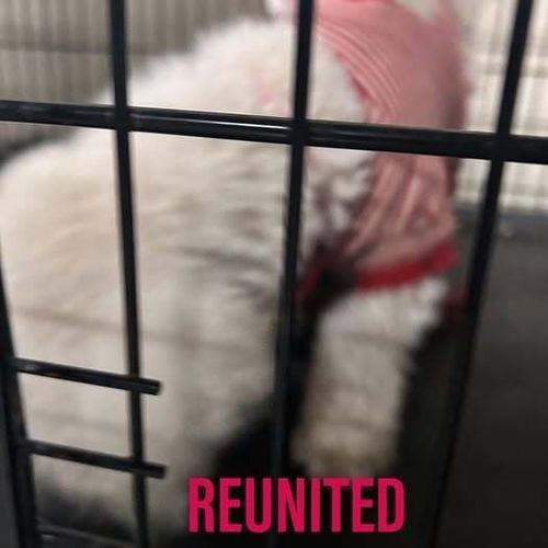Reunited with owner 1