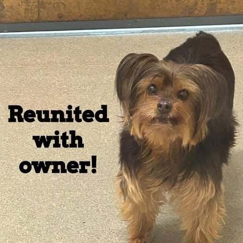 Reunited with owner 2
