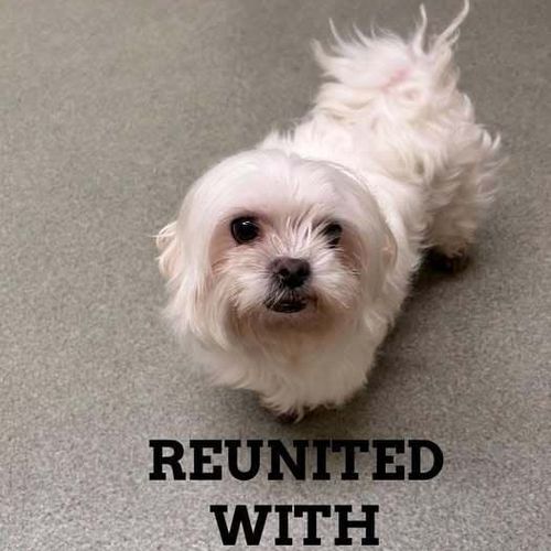 Reunited with owner 7