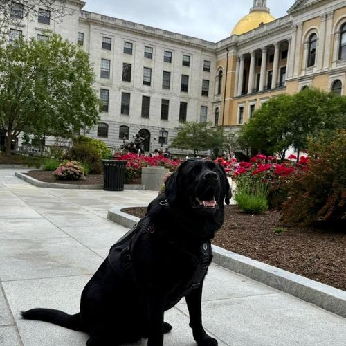 k9 at state house