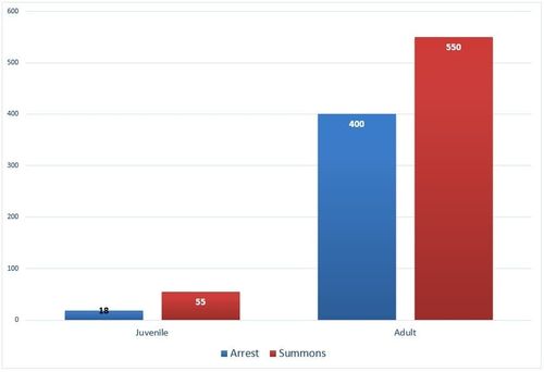 2025 arrests and summons chart