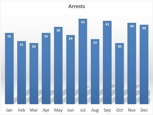 2025 arrests chart
