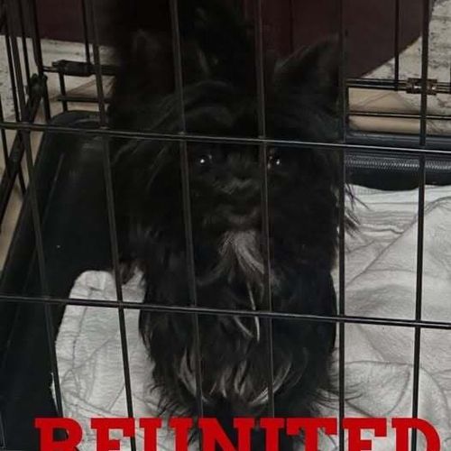 Reunited with owner 5