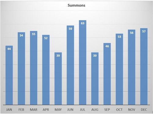 2025 summons chart