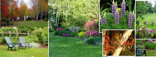 wilson-lake-inn_grounds-gardens_08