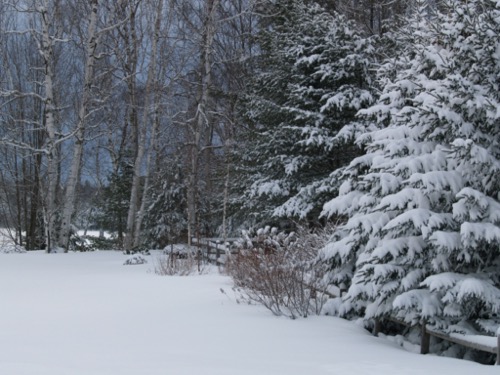 wilson-lake-inn_grounds_01