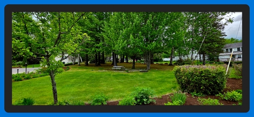 Picnic Table &mdash; Shaded picnic seating on the lawn