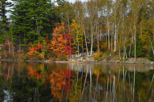 🍂 Fall Packing Guide (September &ndash; November)