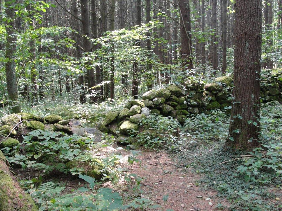 A narrow trail passes through a gap in a rock wall