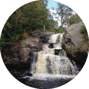 Waterfall Hikes