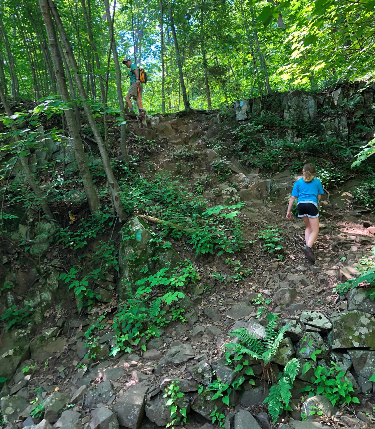 A girl climbs a trail with switchbacks