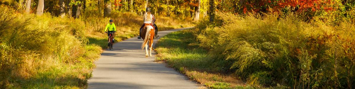 A cyclist and an equestrian greet each other on a paved trail