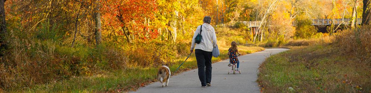 A woman walking a dog and a girl riding a tricycle follow a paved path.