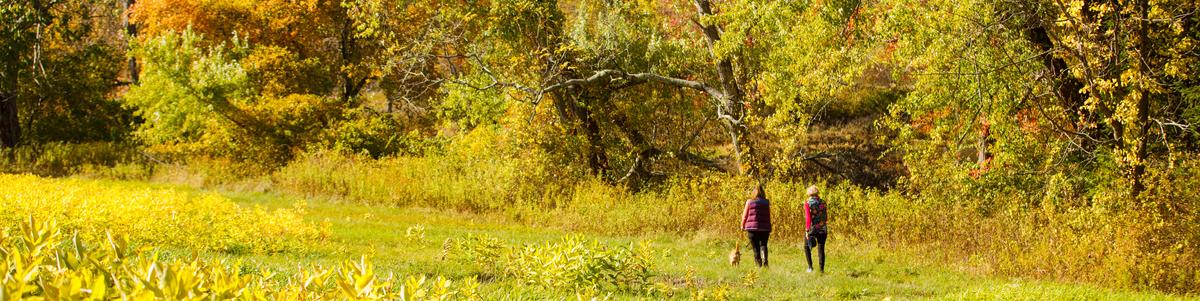 Two women walk along the edge of a field