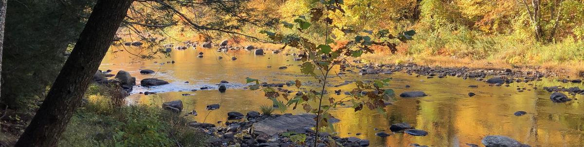 Brilliant fall colors reflect on calm water