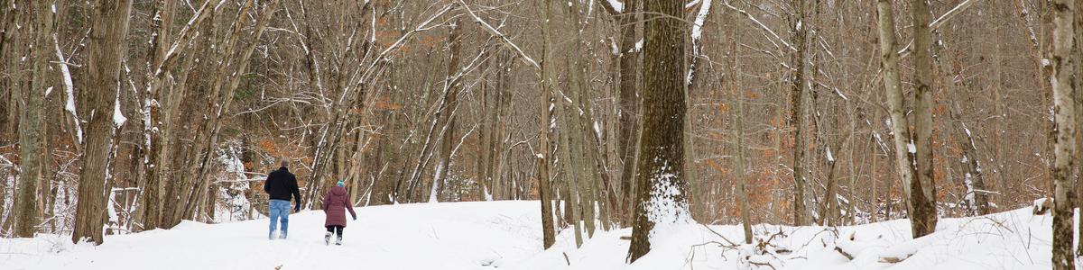 A man and a woman walk on a snowy trail.