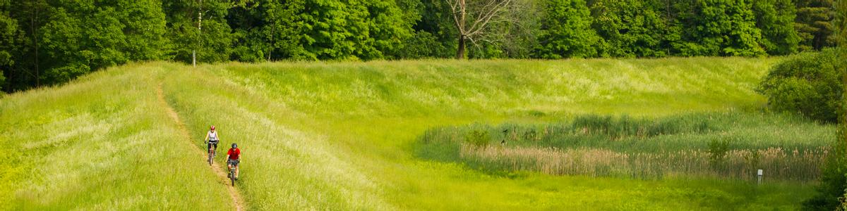 Two mountain bikers ride on a narrow dirt track surrounded by a light green grassy field