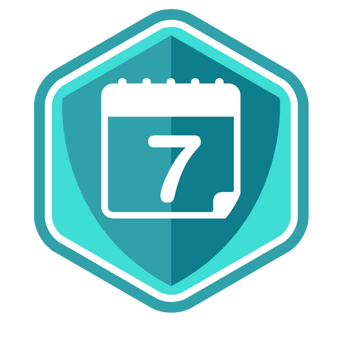 7 in 7