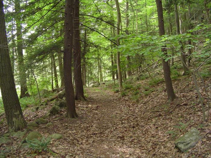 Ives Trail and Greenway