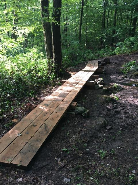 Bog bridging on the trails (Credit: Colchester Land Trust)