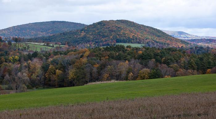 Benton Hill Preserve