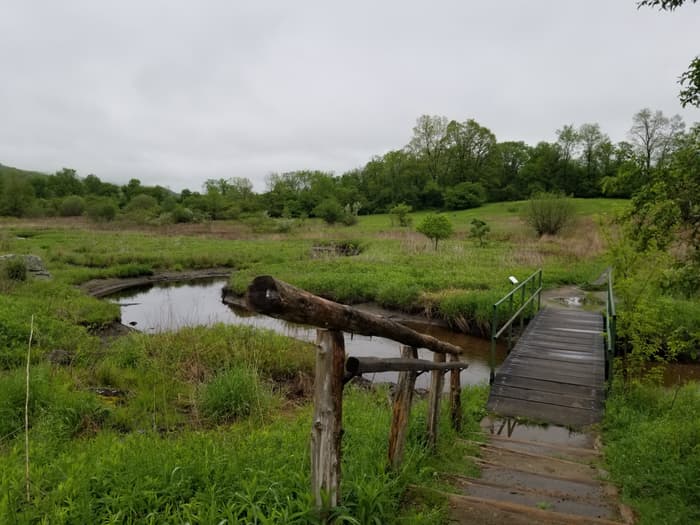 Wooden footbridge over a brook in a green meadow