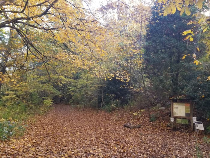 south trailhead on a fall day